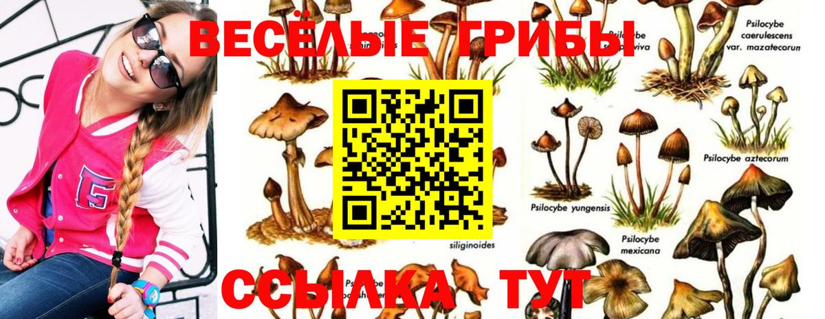 продажа наркотиков  Вход с VPN  Нижневартовск  Галлюциногенные грибы Psilocybe 